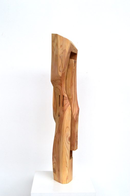 Thuia, 2023, 100 x 22 x 18cm