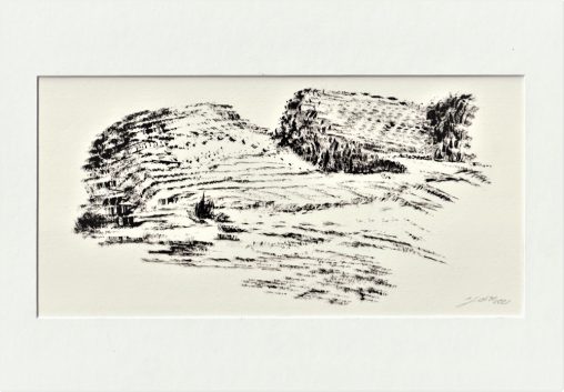 Kaiserstuhl-Tusche-2021-12,5-x-25