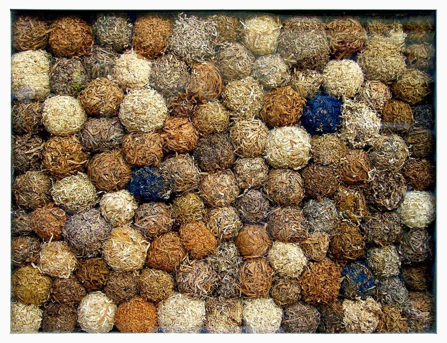 CW Loth: Schwarzwaldbild - Es muss nicht immer der Bollenhut sein